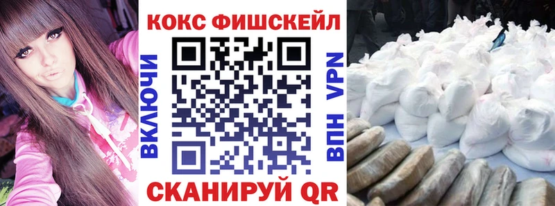 где купить   Щигры  COCAIN FishScale 