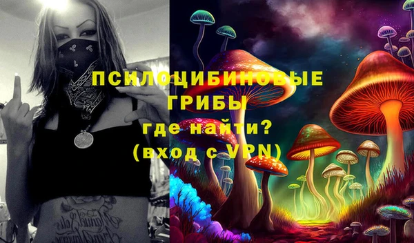 хмурый Абаза