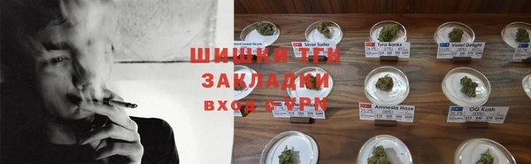хмурый Абаза