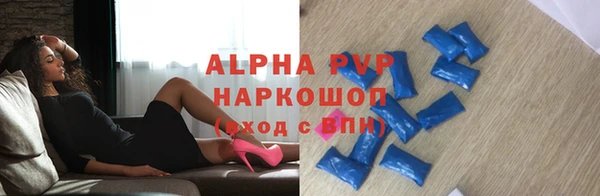 хмурый Абаза