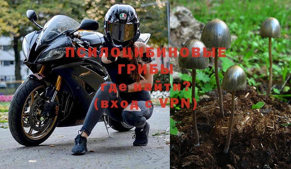 хмурый Абаза
