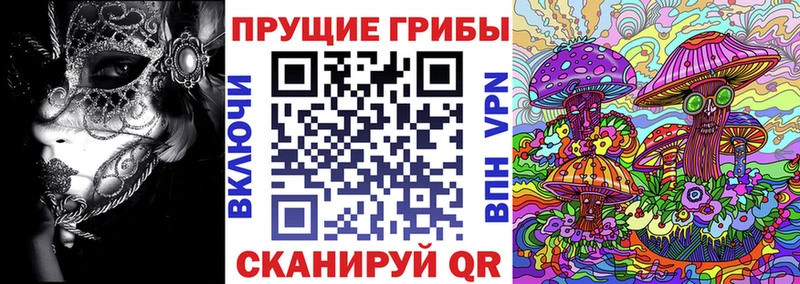 Псилоцибиновые грибы Psilocybe  Щигры 